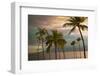 Hawaii Palm Sunset No. 1-Carlos Vargas-Framed Photographic Print