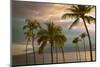 Hawaii Palm Sunset No. 1-Carlos Vargas-Mounted Photographic Print