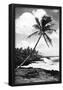 Hawaii - Palms Along The Beach-null-Framed Poster