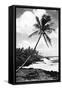 Hawaii - Palms along the Beach-Lantern Press-Framed Stretched Canvas