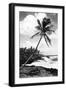 Hawaii - Palms along the Beach-Lantern Press-Framed Art Print