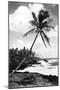 Hawaii - Palms along the Beach-Lantern Press-Mounted Art Print