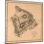 Hawaii - Panoramic Hawaii Island Map-Lantern Press-Mounted Art Print