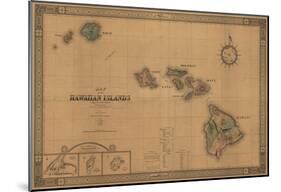 Hawaii - Panoramic State Map-null-Mounted Poster