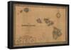 Hawaii - Panoramic State Map-null-Framed Poster