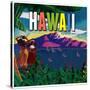 Hawaii Paradise-null-Stretched Canvas