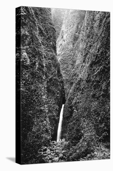 Hawaii - Sacred Falls on Oahu Island-Lantern Press-Stretched Canvas