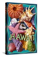Hawaii - Shells Montage-Lantern Press-Stretched Canvas
