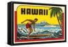 Hawaii, Surfer at Diamond Head, Cruise Ship-null-Framed Stretched Canvas