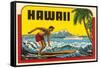 Hawaii, Surfer at Diamond Head, Cruise Ship-null-Framed Stretched Canvas