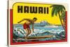 Hawaii, Surfer at Diamond Head, Cruise Ship-null-Stretched Canvas