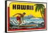 Hawaii, Surfer at Diamond Head, Cruise Ship-null-Framed Stretched Canvas