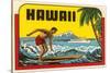 Hawaii, Surfer at Diamond Head, Cruise Ship-null-Stretched Canvas