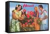 Hawaii, Tourist Couple, Fruit, Hawaiian Lady-null-Framed Stretched Canvas