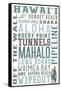 Hawaii - Typography-Lantern Press-Framed Stretched Canvas