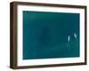 Hawaii View V-Adam Mead-Framed Photographic Print