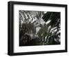 Hawaii Volcanoes National Park, Big Island, Hawaii, USA-Savanah Stewart-Framed Photographic Print