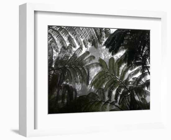 Hawaii Volcanoes National Park, Big Island, Hawaii, USA-Savanah Stewart-Framed Photographic Print