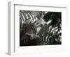 Hawaii Volcanoes National Park, Big Island, Hawaii, USA-Savanah Stewart-Framed Photographic Print