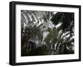 Hawaii Volcanoes National Park, Big Island, Hawaii, USA-Savanah Stewart-Framed Photographic Print