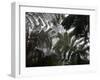 Hawaii Volcanoes National Park, Big Island, Hawaii, USA-Savanah Stewart-Framed Photographic Print