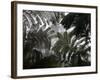 Hawaii Volcanoes National Park, Big Island, Hawaii, USA-Savanah Stewart-Framed Photographic Print