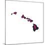 Hawaii-Art Licensing Studio-Mounted Giclee Print