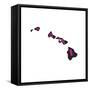 Hawaii-Art Licensing Studio-Framed Stretched Canvas