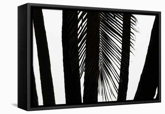 Hawaii-Art Wolfe-Framed Stretched Canvas