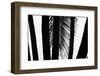 Hawaii-Art Wolfe-Framed Photographic Print