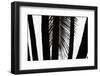 Hawaii-Art Wolfe-Framed Photographic Print