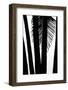 Hawaii-Art Wolfe-Framed Photographic Print