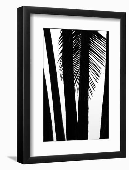 Hawaii-Art Wolfe-Framed Photographic Print