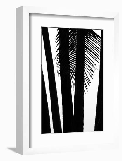 Hawaii-Art Wolfe-Framed Photographic Print