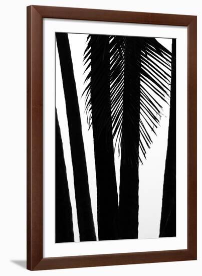 Hawaii-Art Wolfe-Framed Photographic Print