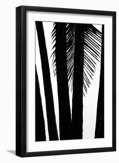 Hawaii-Art Wolfe-Framed Photographic Print