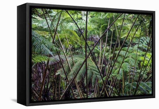 Hawaii-Art Wolfe-Framed Stretched Canvas