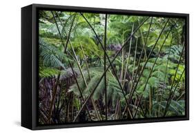 Hawaii-Art Wolfe-Framed Stretched Canvas