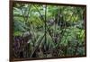 Hawaii-Art Wolfe-Framed Photographic Print