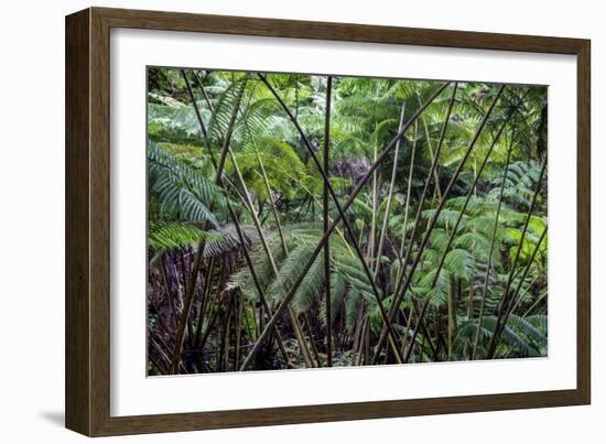 Hawaii-Art Wolfe-Framed Photographic Print