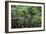 Hawaii-Art Wolfe-Framed Photographic Print