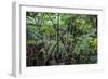 Hawaii-Art Wolfe-Framed Photographic Print