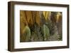 Hawaii-Art Wolfe-Framed Photographic Print