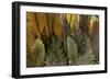 Hawaii-Art Wolfe-Framed Photographic Print