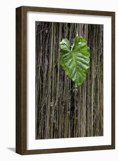 Hawaii-Art Wolfe-Framed Photographic Print