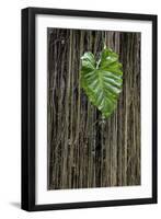 Hawaii-Art Wolfe-Framed Photographic Print