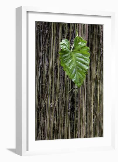 Hawaii-Art Wolfe-Framed Photographic Print