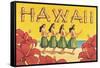 Hawaii-Kerne Erickson-Framed Stretched Canvas