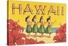 Hawaii-Kerne Erickson-Stretched Canvas
