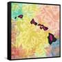 Hawaii-Art Licensing Studio-Framed Stretched Canvas